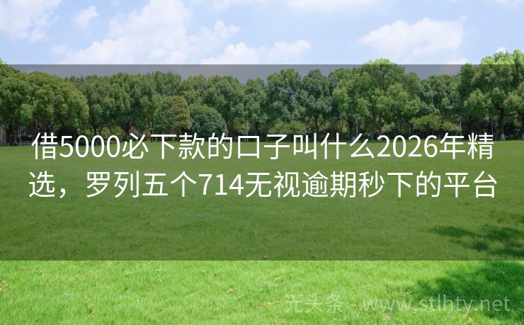 借5000必下款的口子叫什么2026年精选,罗列五个714无视逾期秒下的平台