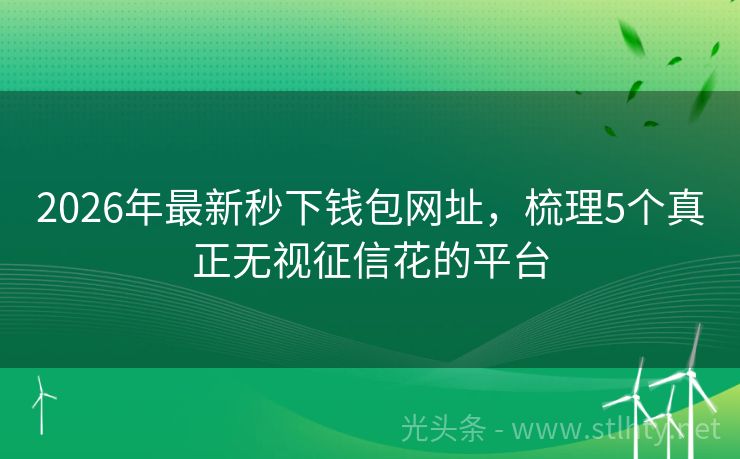 2026年最新秒下钱包网址，梳理5个真正无视征信花的平台