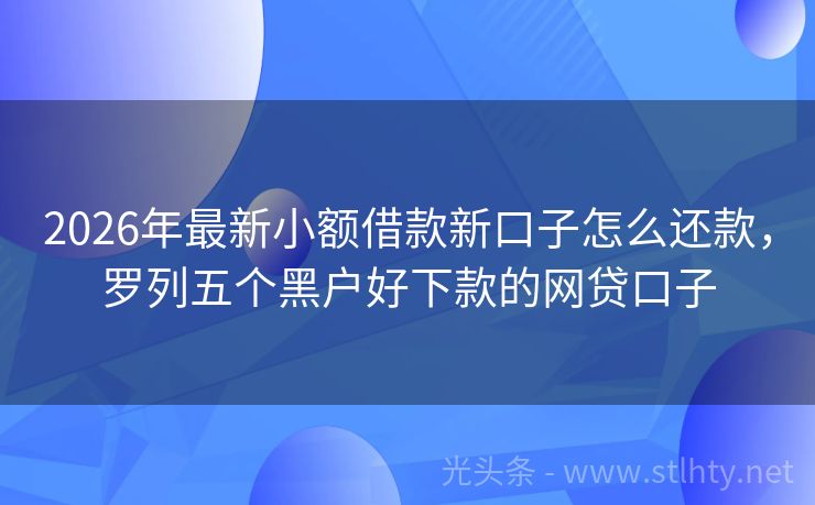 2026年最新小额借款新口子怎么还款,罗列五个黑户好下款的网贷口子
