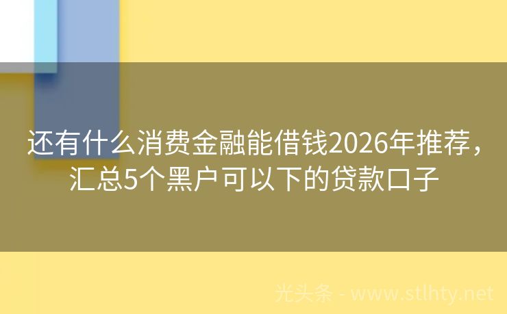 还有什么消费金融能借钱2026年推荐,汇总5个黑户可以下的贷款口子