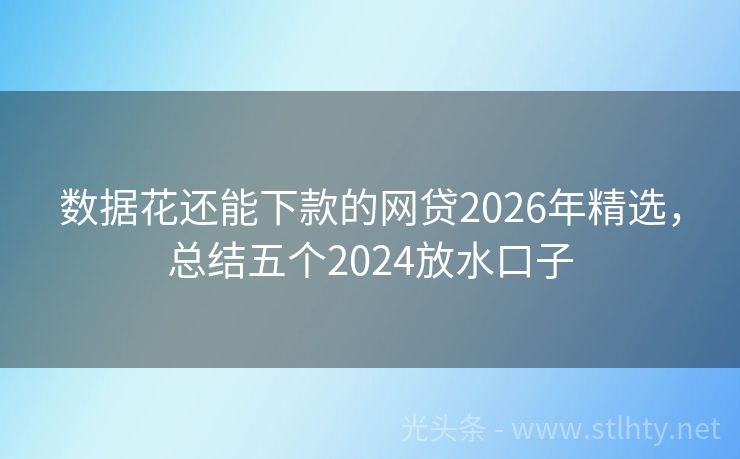 数据花还能下款的网贷2026年精选,总结五个2024放水口子