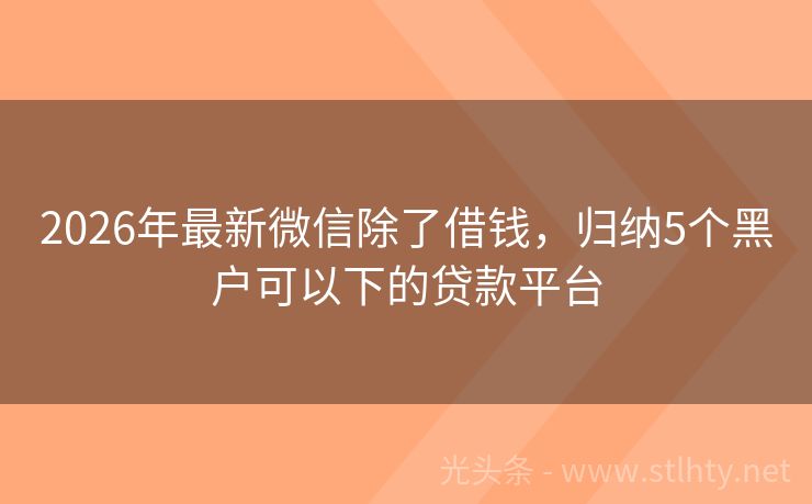 2026年最新微信除了借钱,归纳5个黑户可以下的贷款平台