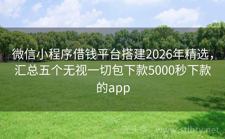 微信小程序借钱平台搭建2026年精选,汇总五个无视一切包下款5000秒下款的app