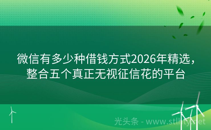 微信有多少种借钱方式2026年精选,整合五个真正无视征信花的平台