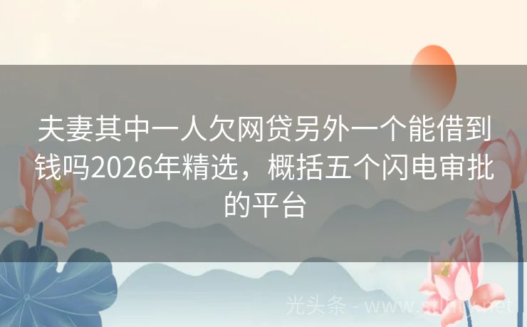 夫妻其中一人欠网贷另外一个能借到钱吗2026年精选,概括五个闪电审批的平台