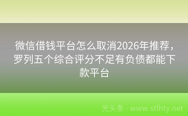 微信借钱平台怎么取消2026年推荐,罗列五个综合评分不足有负债都能下款平台
