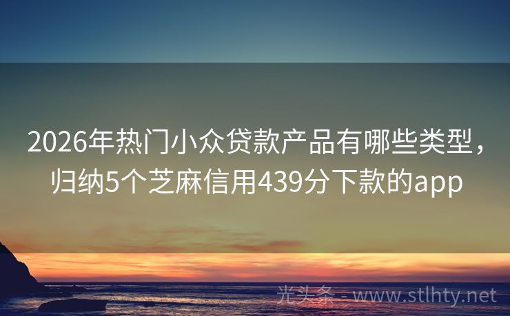 2026年热门小众贷款产品有哪些类型,归纳5个芝麻信用439分下款的app