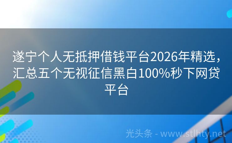 遂宁个人无抵押借钱平台2026年精选,汇总五个无视征信黑白100%秒下网贷平台