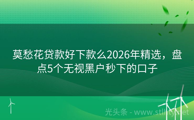 莫愁花贷款好下款么2026年精选,盘点5个无视黑户秒下的口子