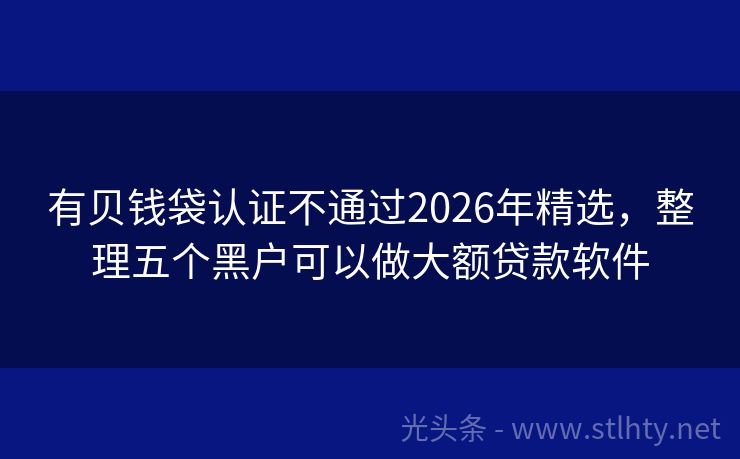 有贝钱袋认证不通过2026年精选,整理五个黑户可以做大额贷款软件