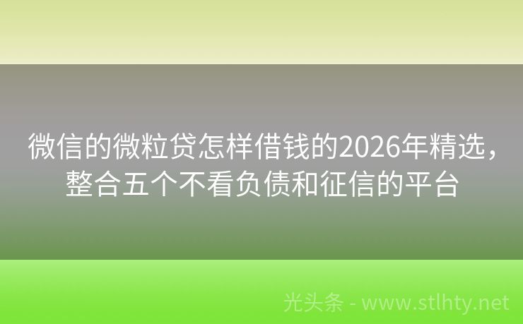 微信的微粒贷怎样借钱的2026年精选,整合五个不看负债和征信的平台