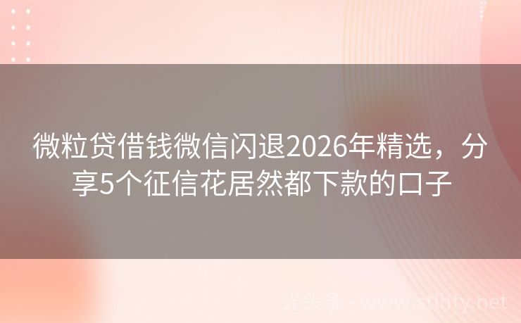 微粒贷借钱微信闪退2026年精选,分享5个征信花居然都下款的口子