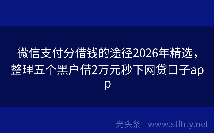 微信支付分借钱的途径2026年精选,整理五个黑户借2万元秒下网贷口子app