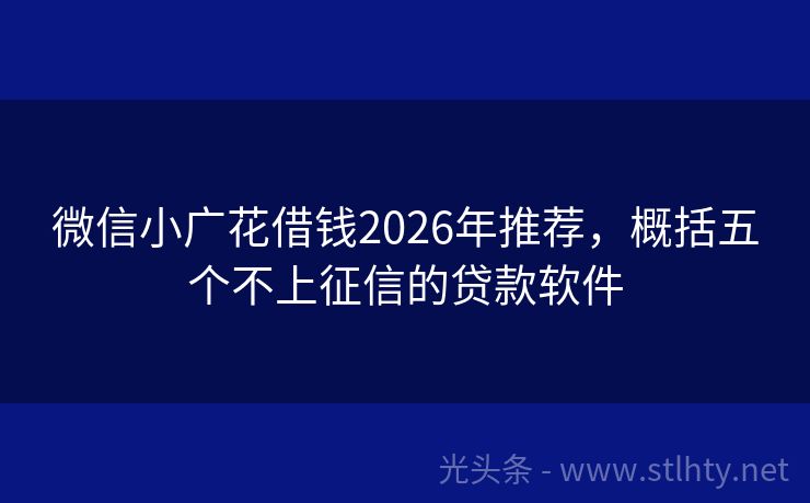 微信小广花借钱2026年推荐,概括五个不上征信的贷款软件