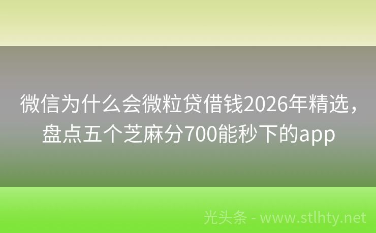 微信为什么会微粒贷借钱2026年精选,盘点五个芝麻分700能秒下的app