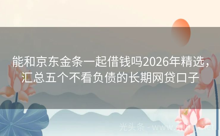能和京东金条一起借钱吗2026年精选,汇总五个不看负债的长期网贷口子