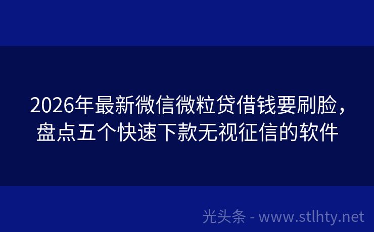 2026年最新微信微粒贷借钱要刷脸,盘点五个快速下款无视征信的软件