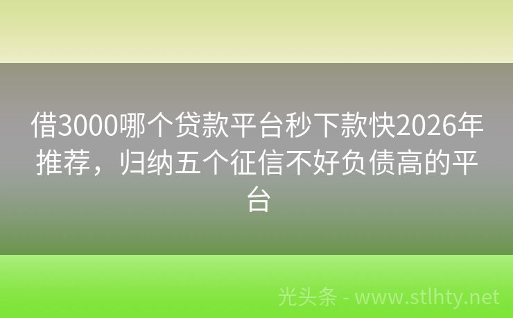 借3000哪个贷款平台秒下款快2026年推荐,归纳五个征信不好负债高的平台