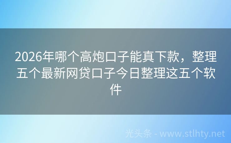 2026年哪个高炮口子能真下款,整理五个最新网贷口子今日整理这五个软件