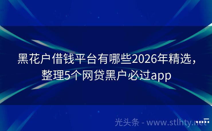 黑花户借钱平台有哪些2026年精选,整理5个网贷黑户必过app