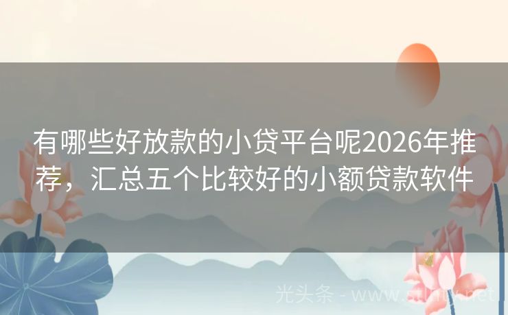 有哪些好放款的小贷平台呢2026年推荐,汇总五个比较好的小额贷款软件