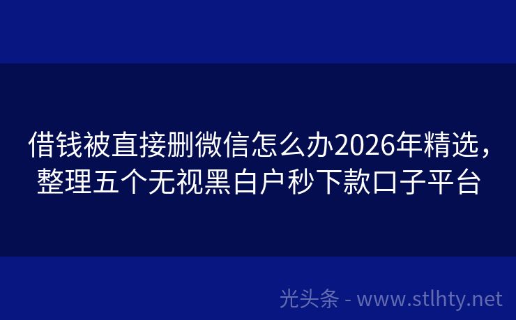 借钱被直接删微信怎么办2026年精选,整理五个无视黑白户秒下款口子平台