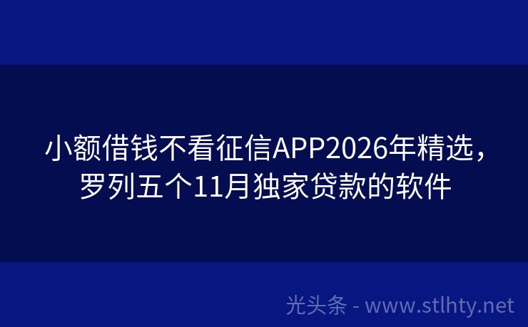 小额借钱不看征信APP2026年精选,罗列五个11月独家贷款的软件