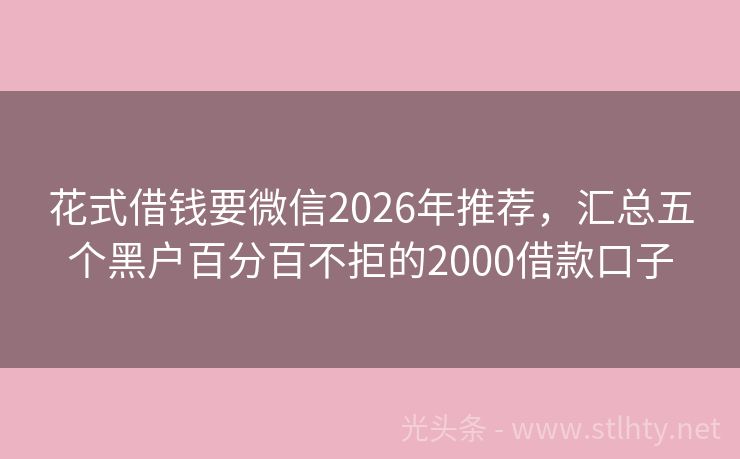 花式借钱要微信2026年推荐,汇总五个黑户百分百不拒的2000借款口子