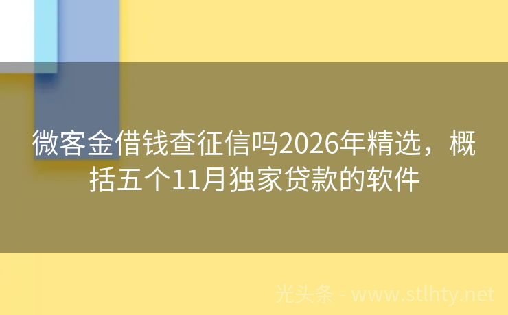 微客金借钱查征信吗2026年精选,概括五个11月独家贷款的软件