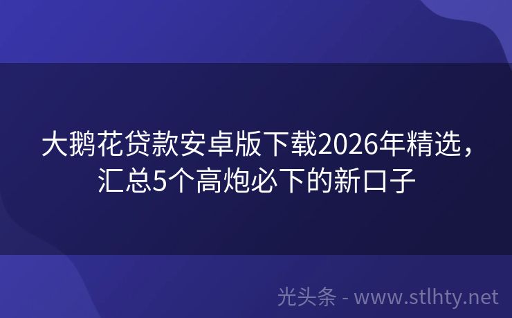 大鹅花贷款安卓版下载2026年精选,汇总5个高炮必下的新口子