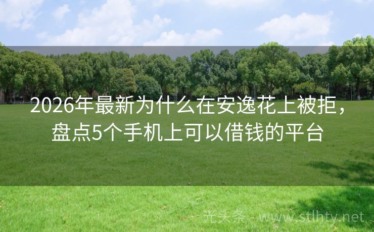 2026年最新为什么在安逸花上被拒,盘点5个手机上可以借钱的平台