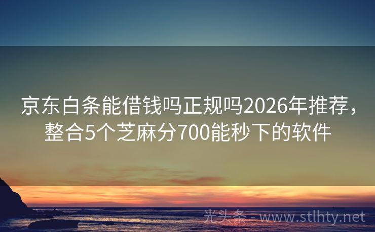 京东白条能借钱吗正规吗2026年推荐,整合5个芝麻分700能秒下的软件
