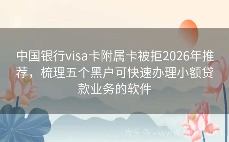 中国银行visa卡附属卡被拒2026年推荐,梳理五个黑户可快速办理小额贷款业务的软件