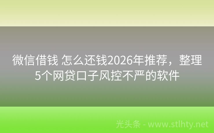 微信借钱 怎么还钱2026年推荐,整理5个网贷口子风控不严的软件