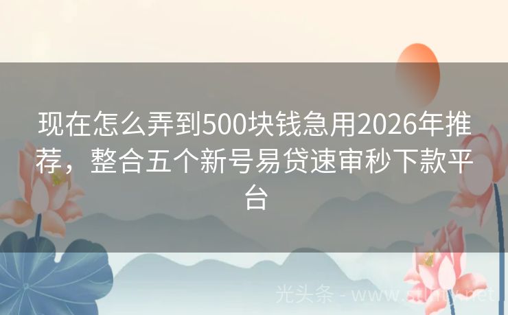 现在怎么弄到500块钱急用2026年推荐,整合五个新号易贷速审秒下款平台