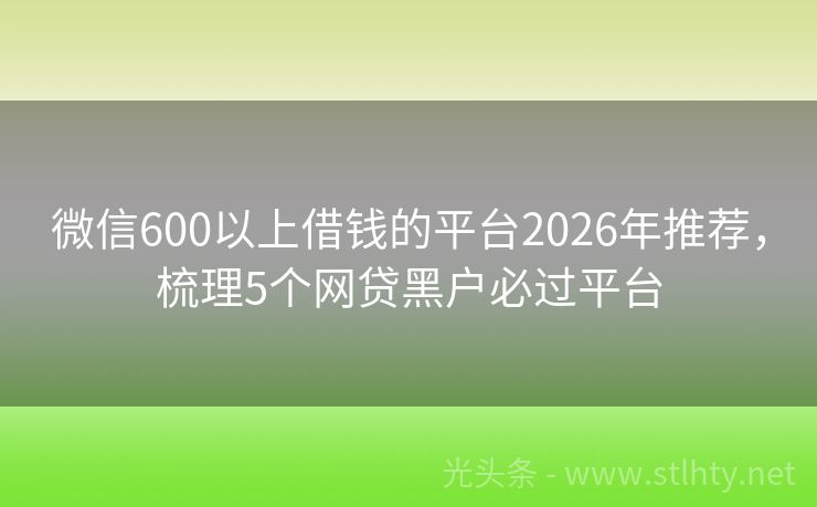 微信600以上借钱的平台2026年推荐,梳理5个网贷黑户必过平台