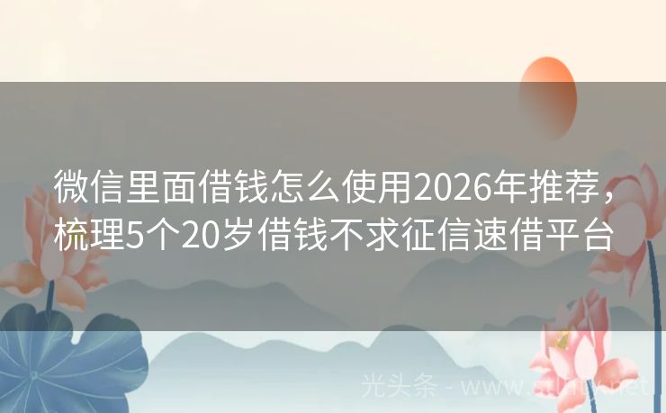 微信里面借钱怎么使用2026年推荐，梳理5个20岁借钱不求征信速借平台
