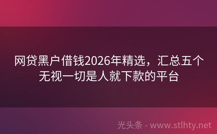 网贷黑户借钱2026年精选,汇总五个无视一切是人就下款的平台