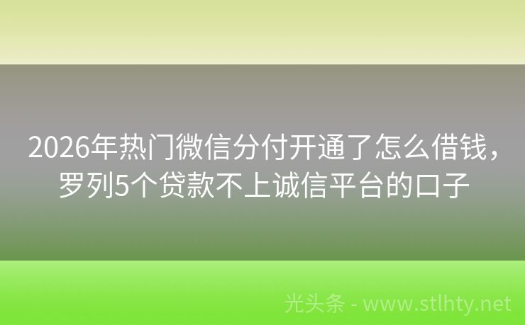 2026年热门微信分付开通了怎么借钱,罗列5个贷款不上诚信平台的口子