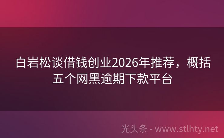 白岩松谈借钱创业2026年推荐,概括五个网黑逾期下款平台