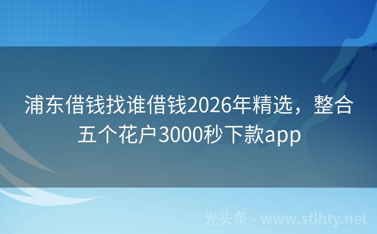浦东借钱找谁借钱2026年精选,整合五个花户3000秒下款app