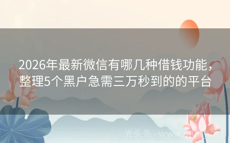 2026年最新微信有哪几种借钱功能,整理5个黑户急需三万秒到的的平台