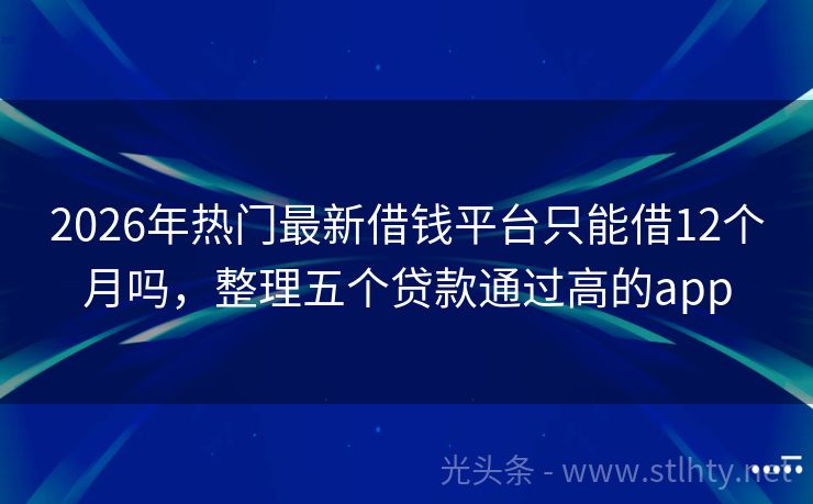 2026年热门最新借钱平台只能借12个月吗,整理五个贷款通过高的app
