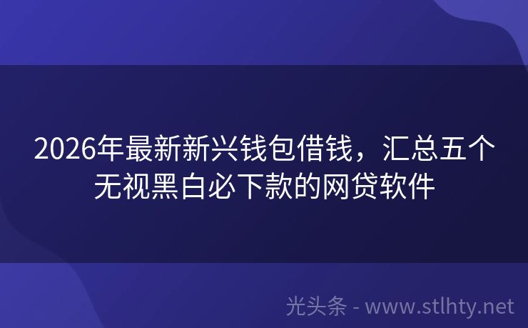 2026年最新新兴钱包借钱,汇总五个无视黑白必下款的网贷软件