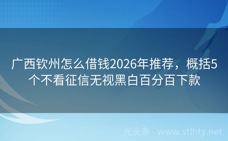 广西钦州怎么借钱2026年推荐,概括5个不看征信无视黑白百分百下款