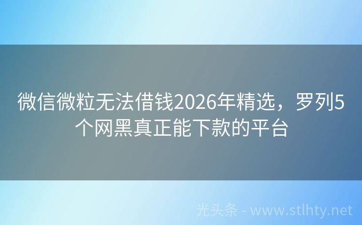 微信微粒无法借钱2026年精选,罗列5个网黑真正能下款的平台
