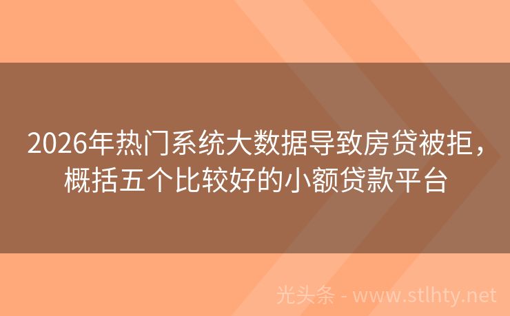 2026年热门系统大数据导致房贷被拒,概括五个比较好的小额贷款平台