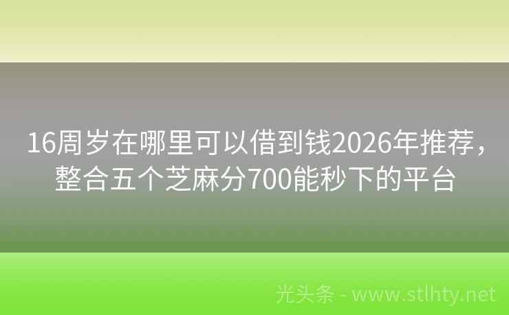 16周岁在哪里可以借到钱2026年推荐,整合五个芝麻分700能秒下的平台