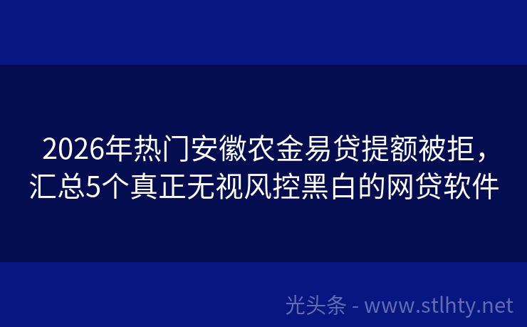 2026年热门安徽农金易贷提额被拒,汇总5个真正无视风控黑白的网贷软件