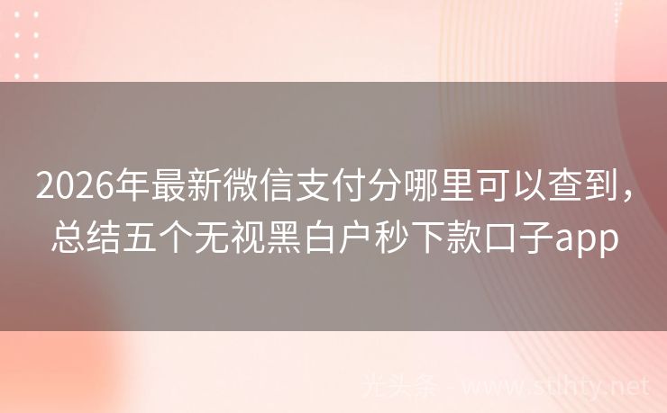 2026年最新微信支付分哪里可以查到,总结五个无视黑白户秒下款口子app
